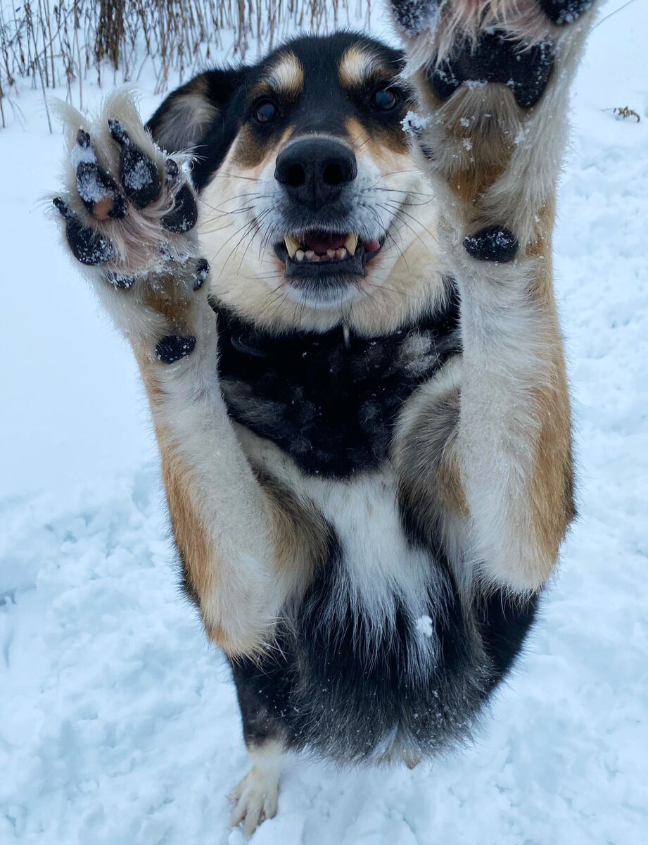 -2