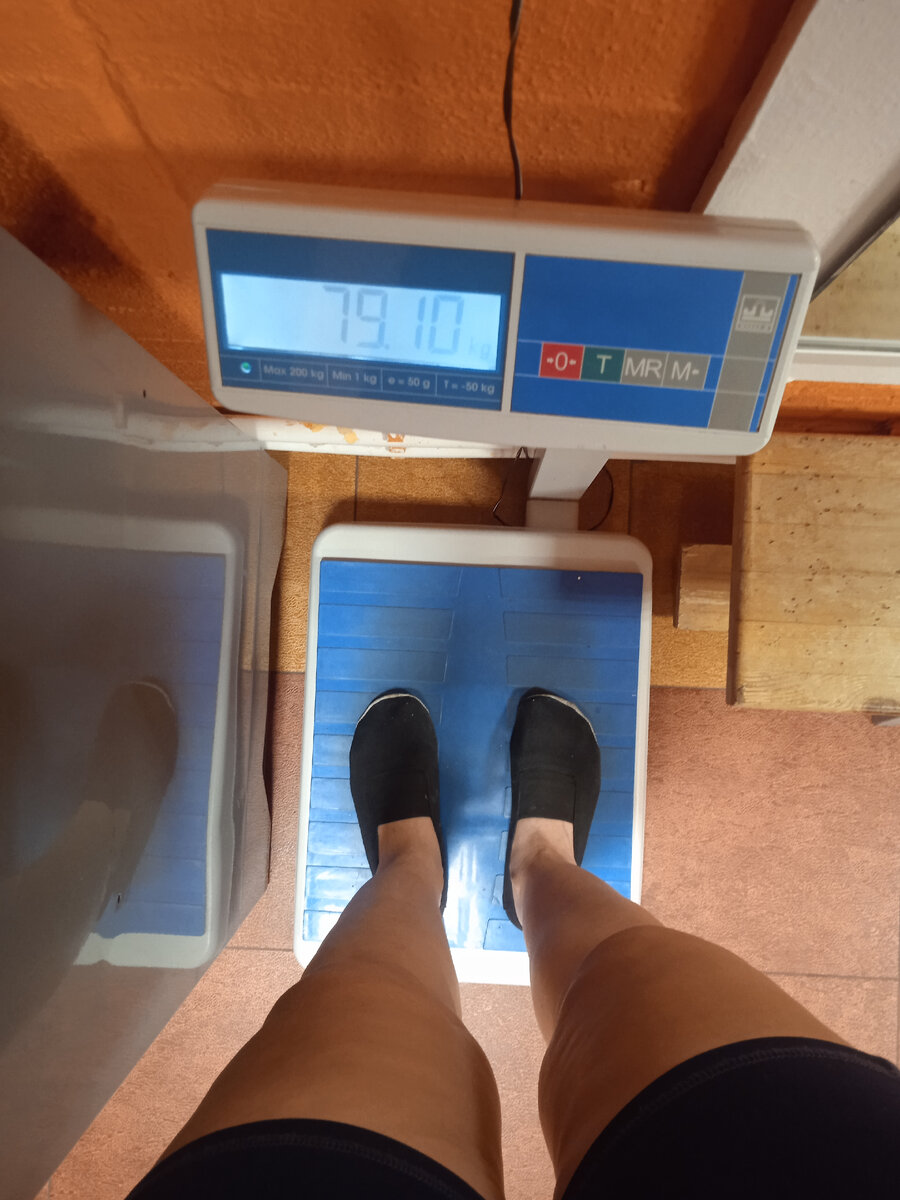 Домашние весы, значит, показывают более-менее правду. Фото автора