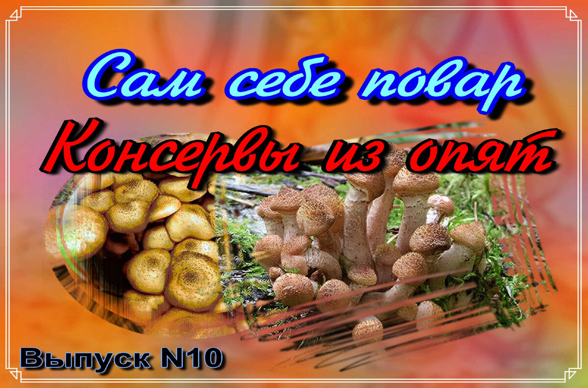 Сам себе повар. Выпуск N10 Консервы из опят