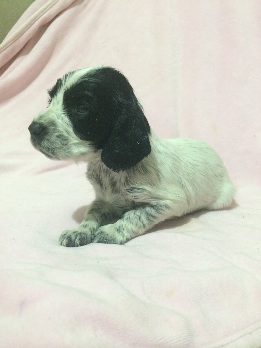 Первое фото до знакомства