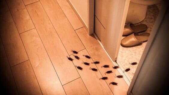 фото взято из pinterest, мое будет ниже