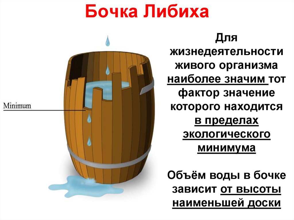 На рисунке изображена бочка либиха иллюстрирующая зависимость урожая от лимитирующего фактора