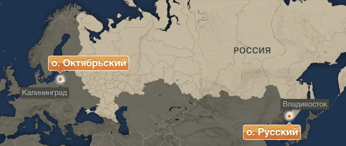 САР в России. Источник: Минэкономразвития