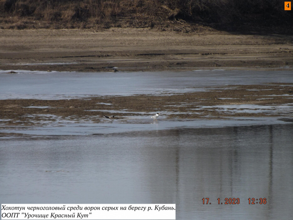 Фото: uooptkk.ru