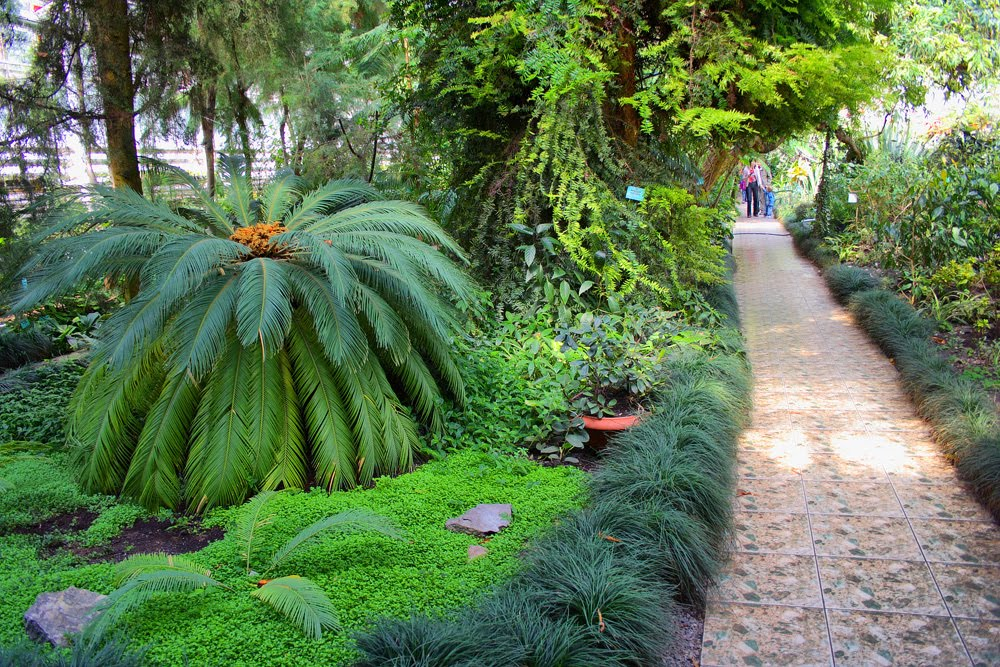 Фото в уфе ботанический сад