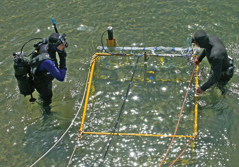 Работа сотрудников Южного отделения Института океанологии