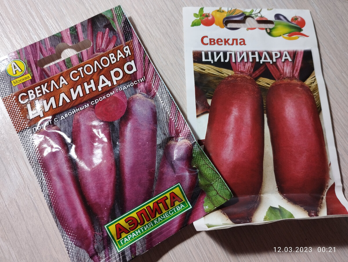 Семена свёклы сорта "Цилиндра"