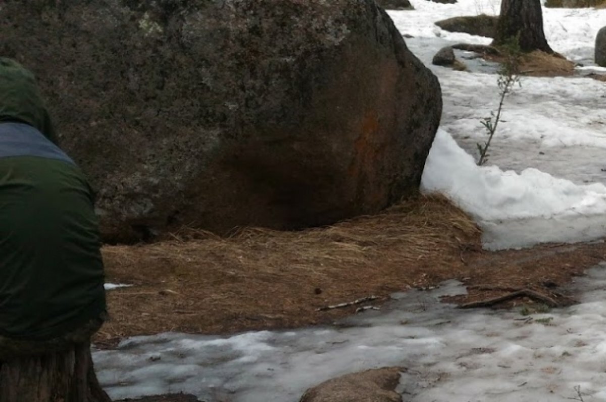    13 марта в Башкирии местами потеплеет до +8°