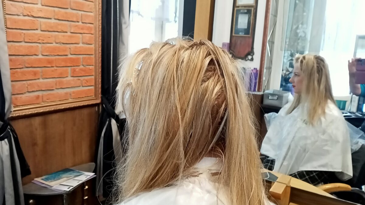 Фото перед окрашиванием в «Леди Shine»