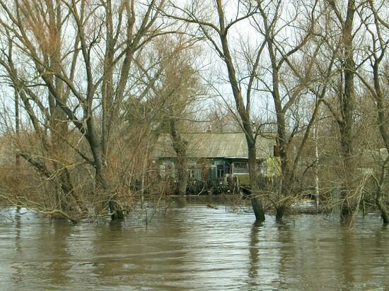     Паводок в Саратовской области. Фото: saratov.mk.ru "МК в Саратове"