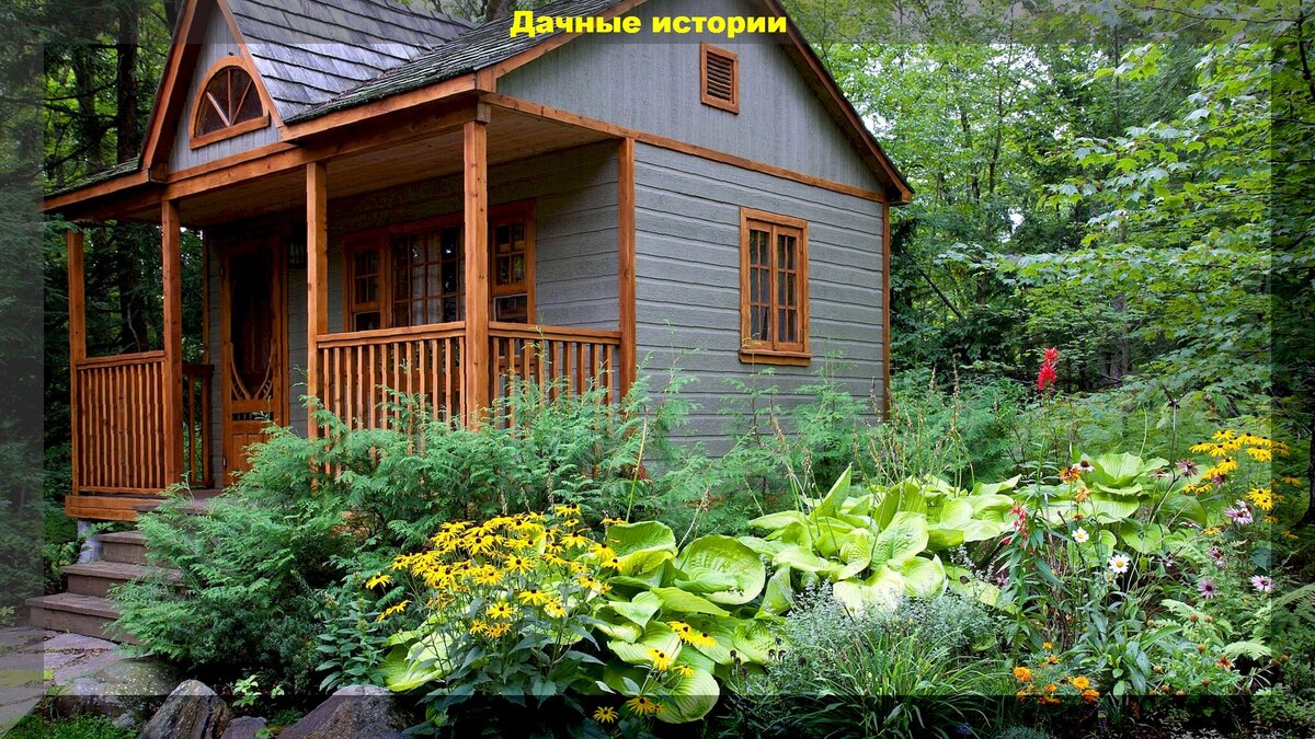 https://vk.com/photo-159774511_457259419