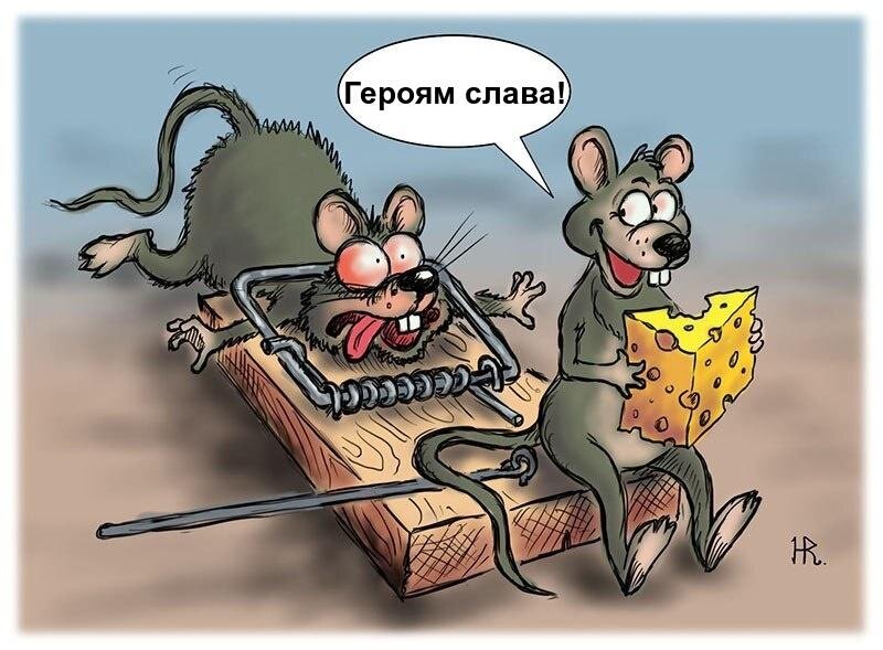 Изображение взято из Интернета.