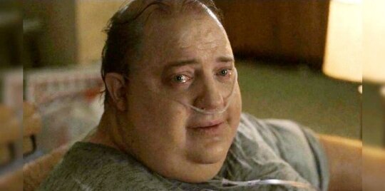 Все изображения - интернет.