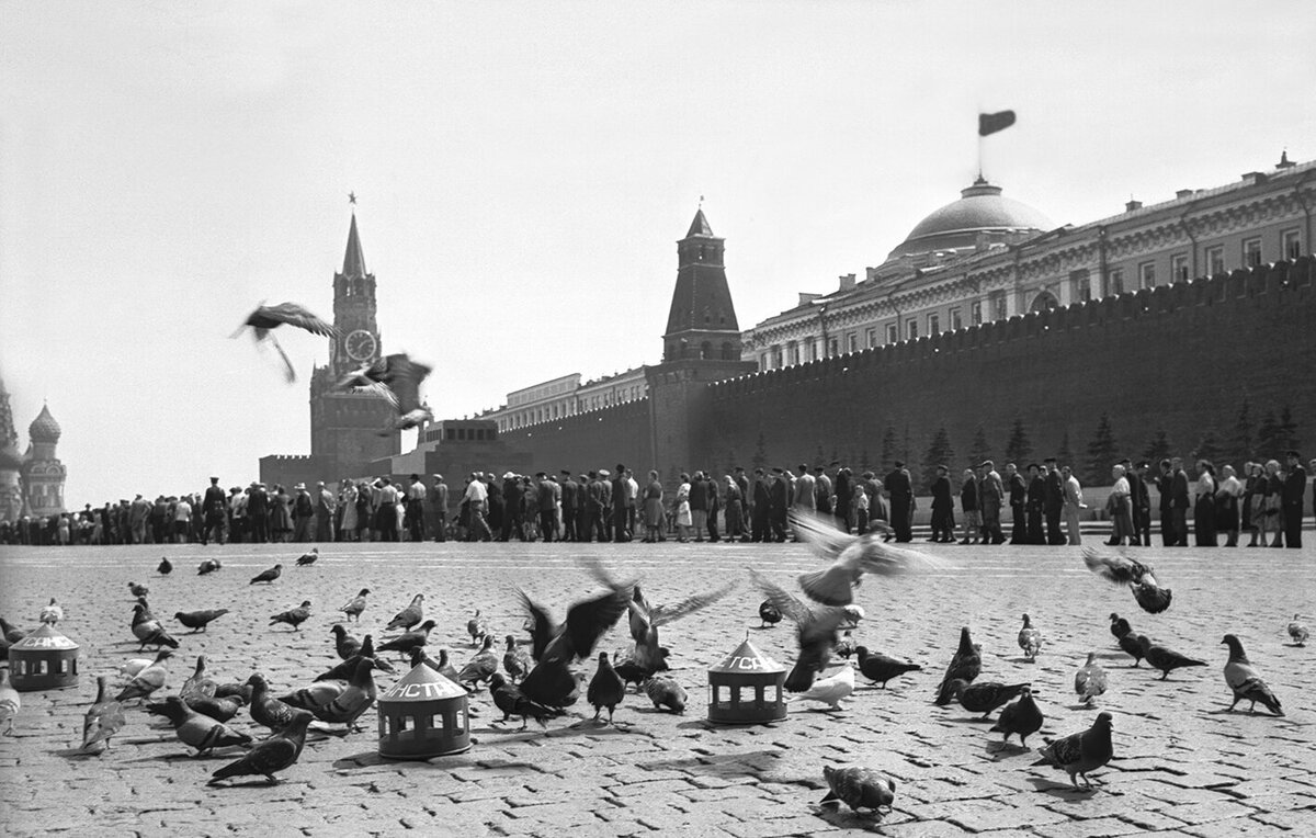 Москва и голуби | AR.MOSCOW | Дзен