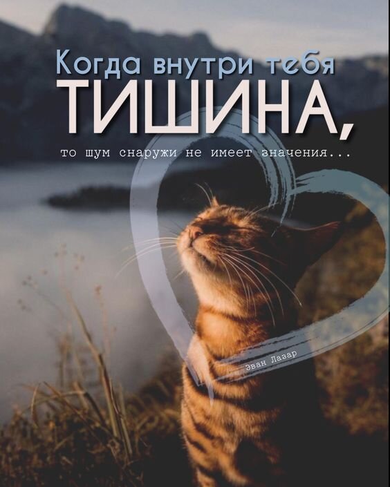  Мир-это, что мы создаем сами своими силам, а не чужими!