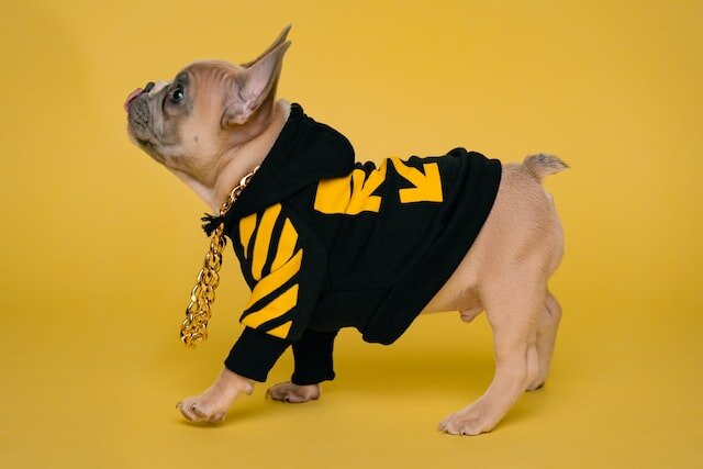 фото Karsten Winegeart. Unsplash.