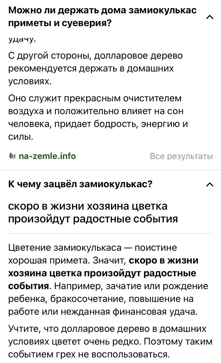 Редкое явление - цветение замиокулькаса. Чего ждать: денег, детей или  повышение? | Будни мамы Кати | Дзен