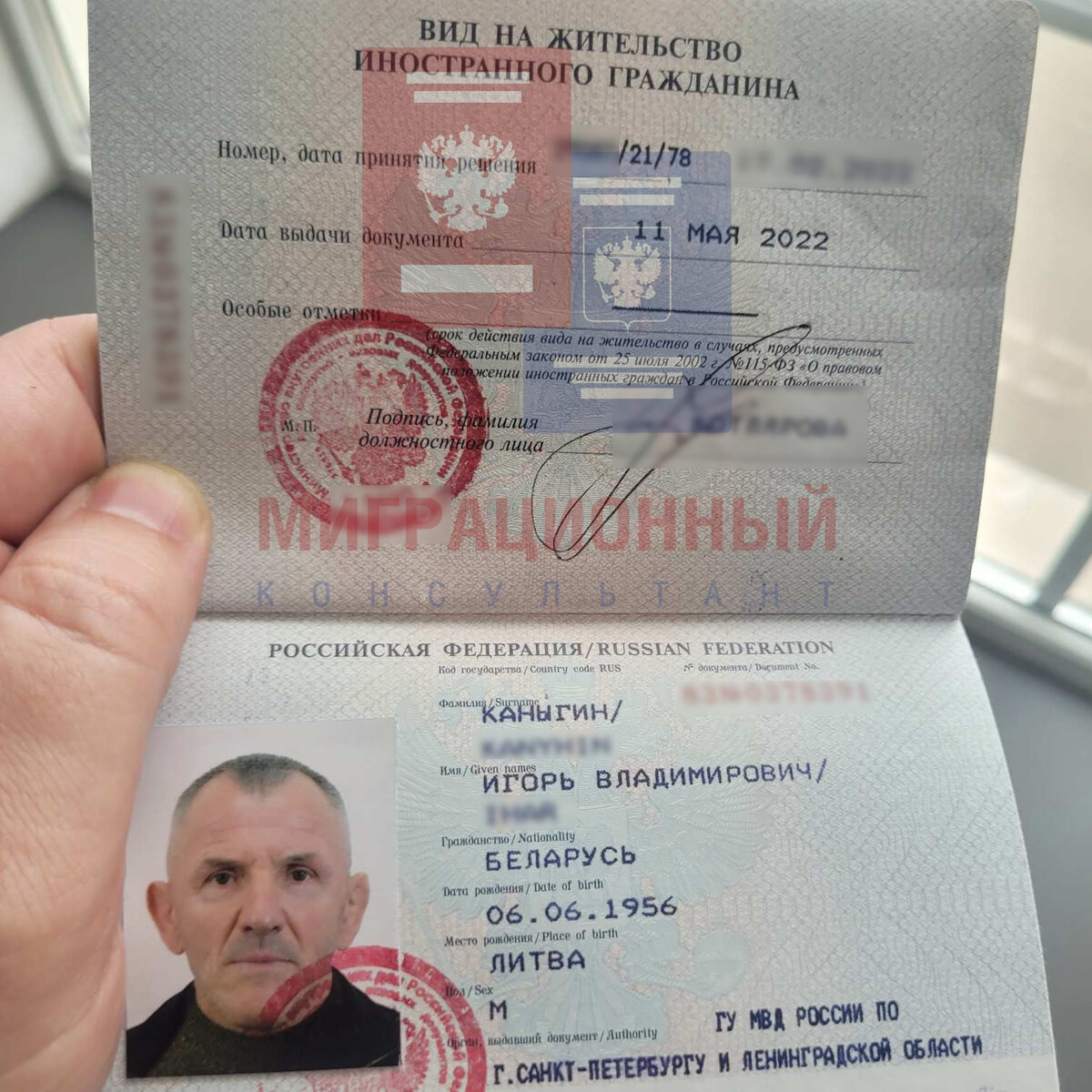 Российское гражданство новый закон. Вид на жительство Украина. Спортсмен который взял гражданство России.