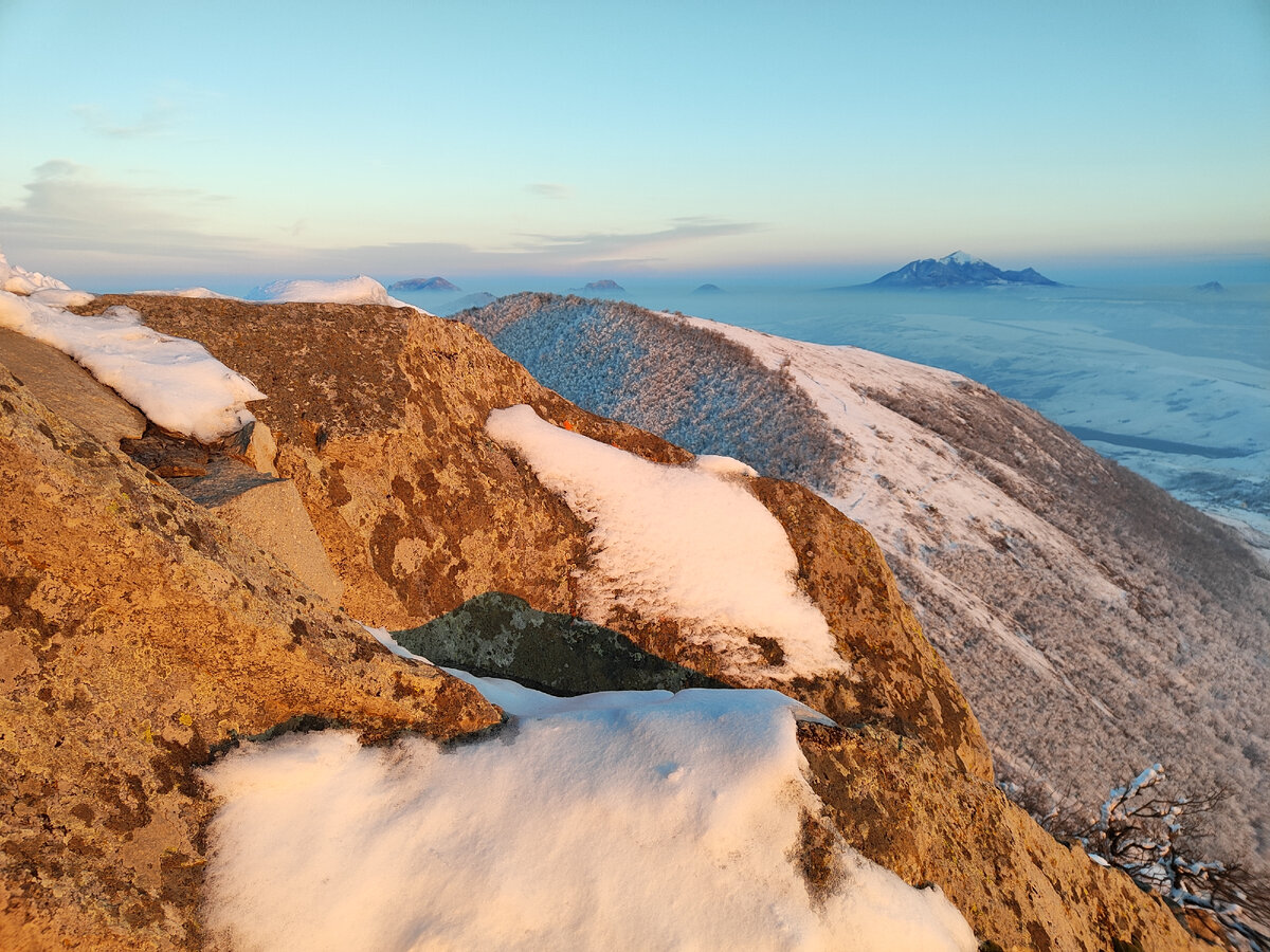 "Новая Вечная Жизнь!".