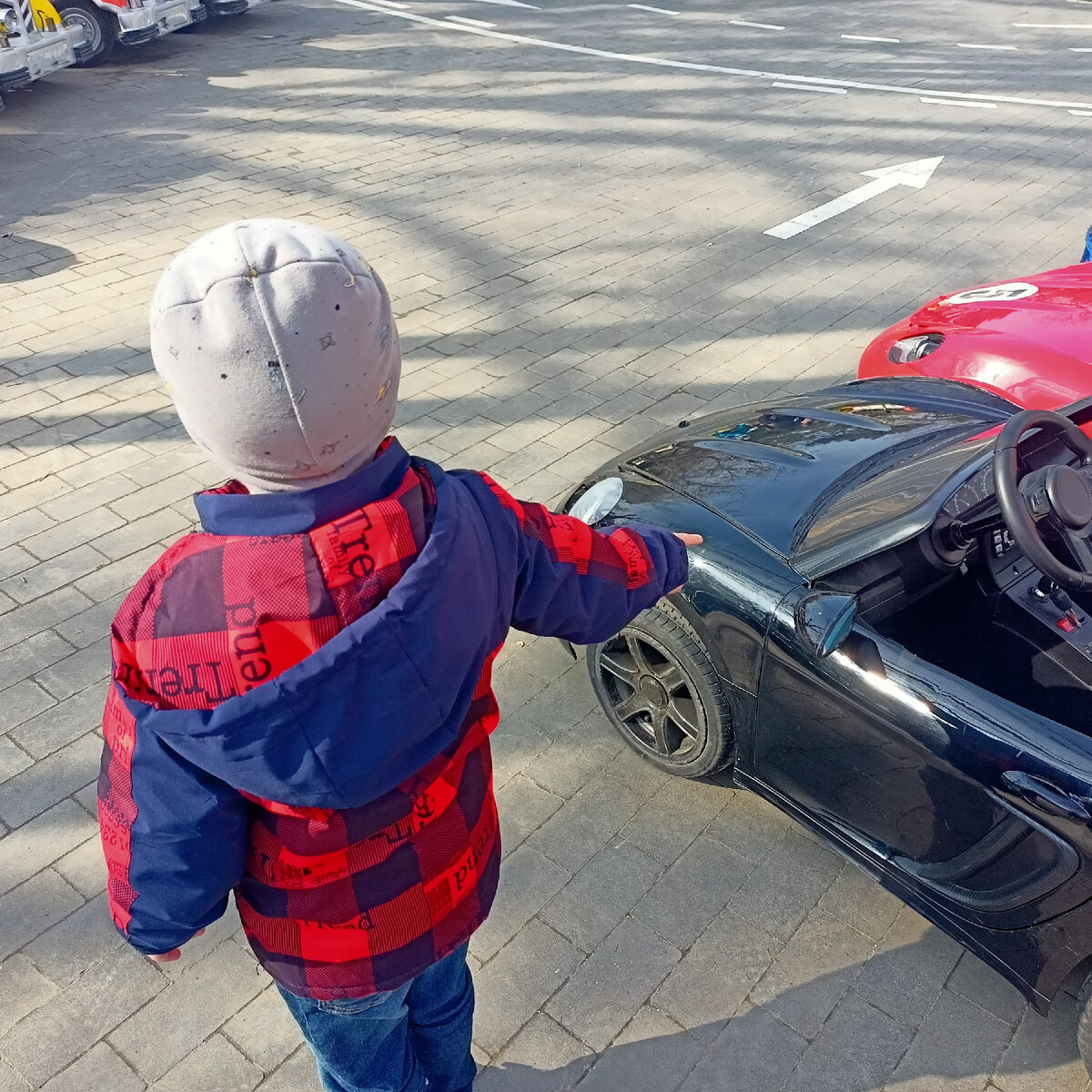 Выбрал) фото автора 