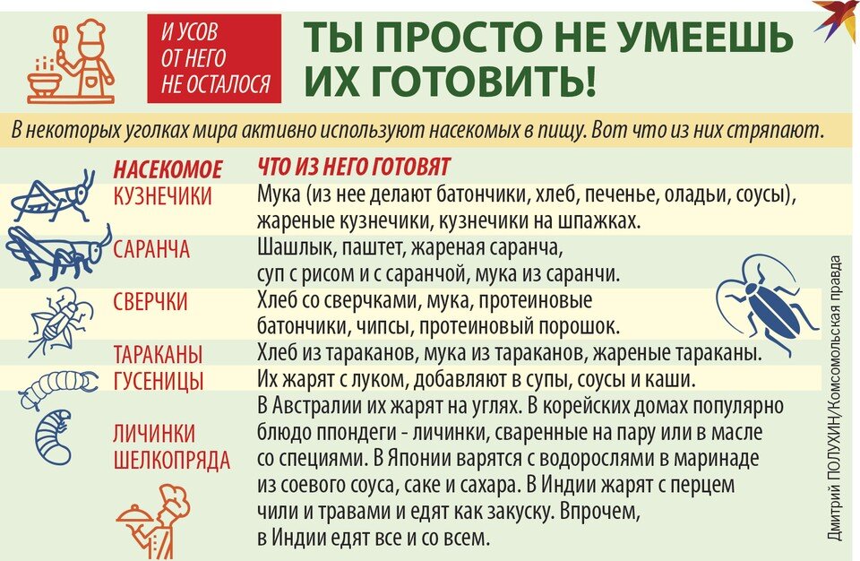     И усов от него не осталося Дмитрий ПОЛУХИН