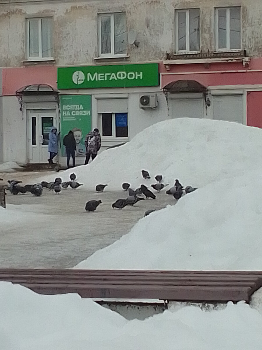 Немного о маленьком городке Кувшиново и столько же о большом Санкт-  Петербурге... | Рюкза-чок | Дзен