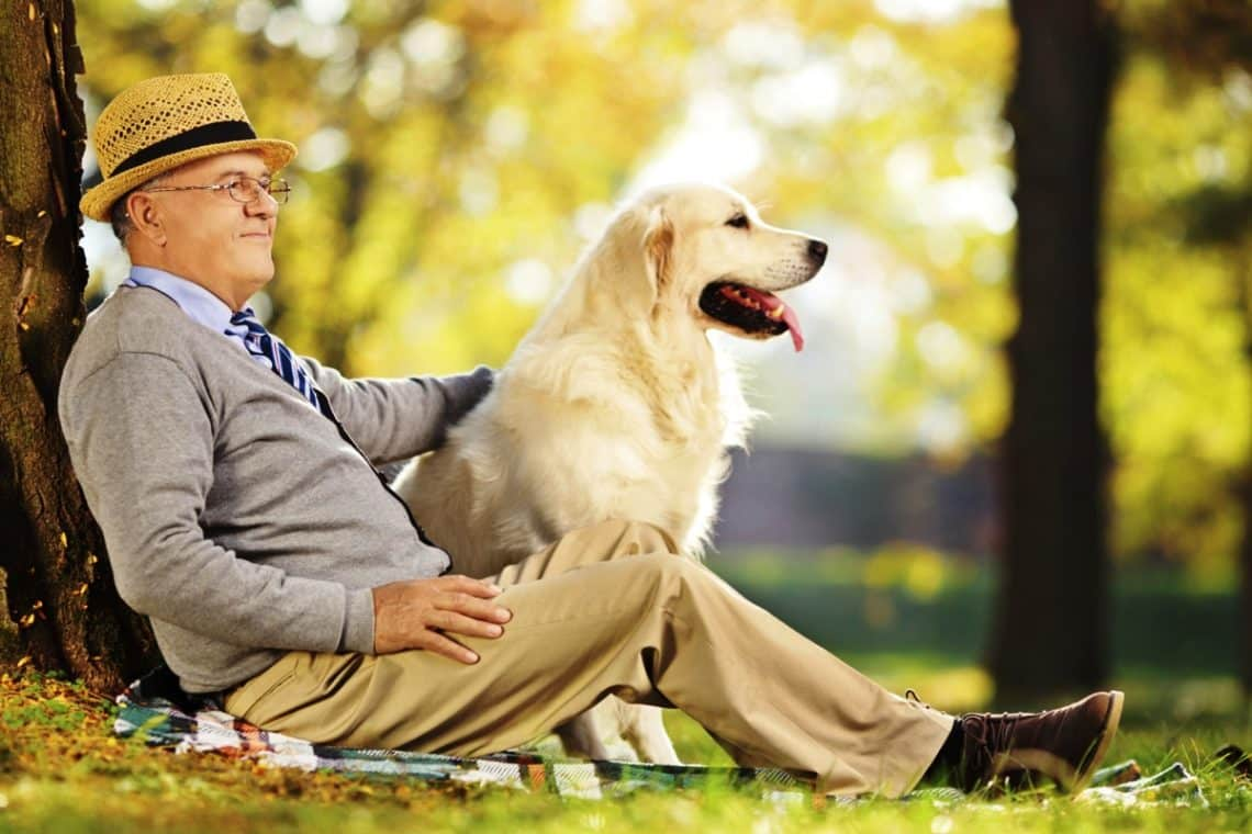 пожилой человек с собакой. жан поль бельмондо «человек и собака». человек с собакой. старики и животные. пенсионер с собакой.