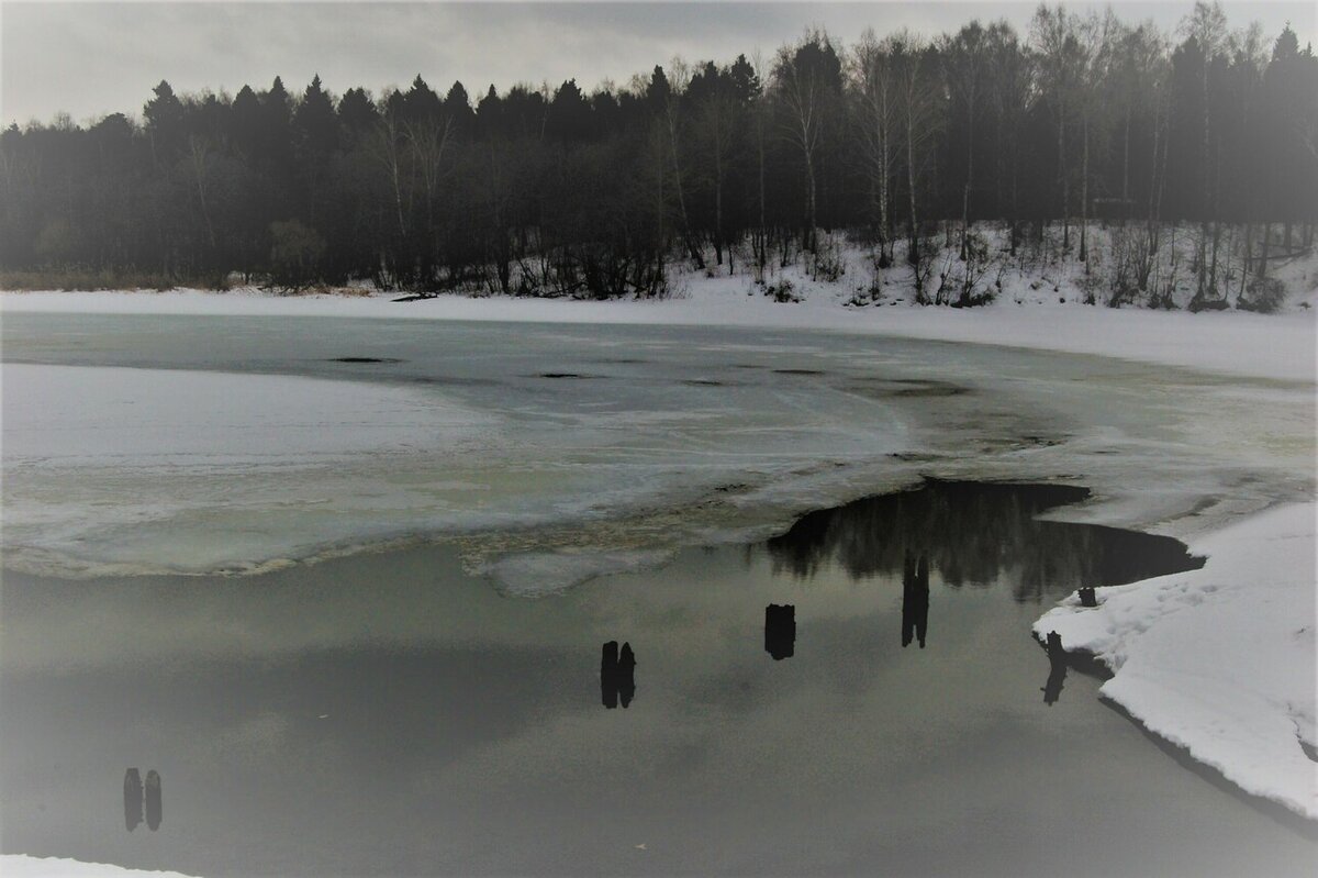     Фото: Яншевского Андрея.