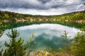 Караканский бор, Новосибирская область