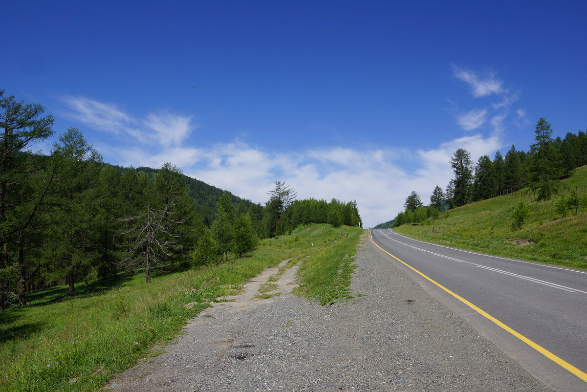 На подъезде к Семинскому перевалу.все фото автора