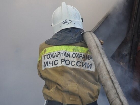     Фото: ГУ МЧС России по Томской области