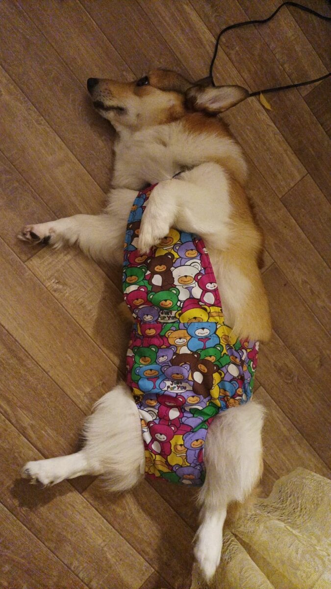 Ну что, долго еще позировать?