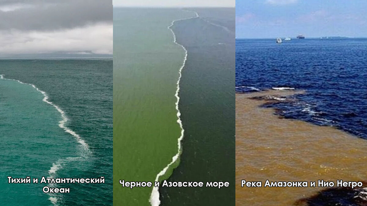 Несколько морей