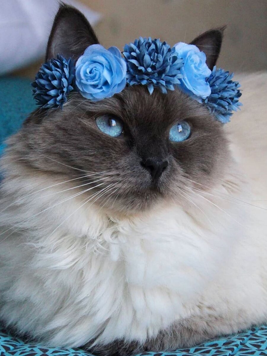 Источник: Яндекс картинки