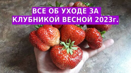 Клубничка для взрослых: 3000 лучших порно видео