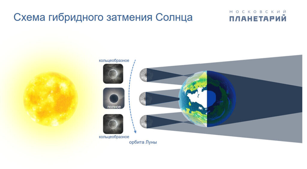 Гибридное затмение Солнца. Фото: Московский планетарий  📷
