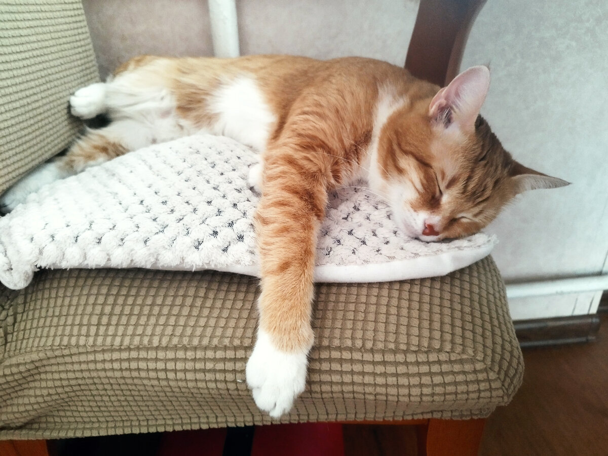 расслабился