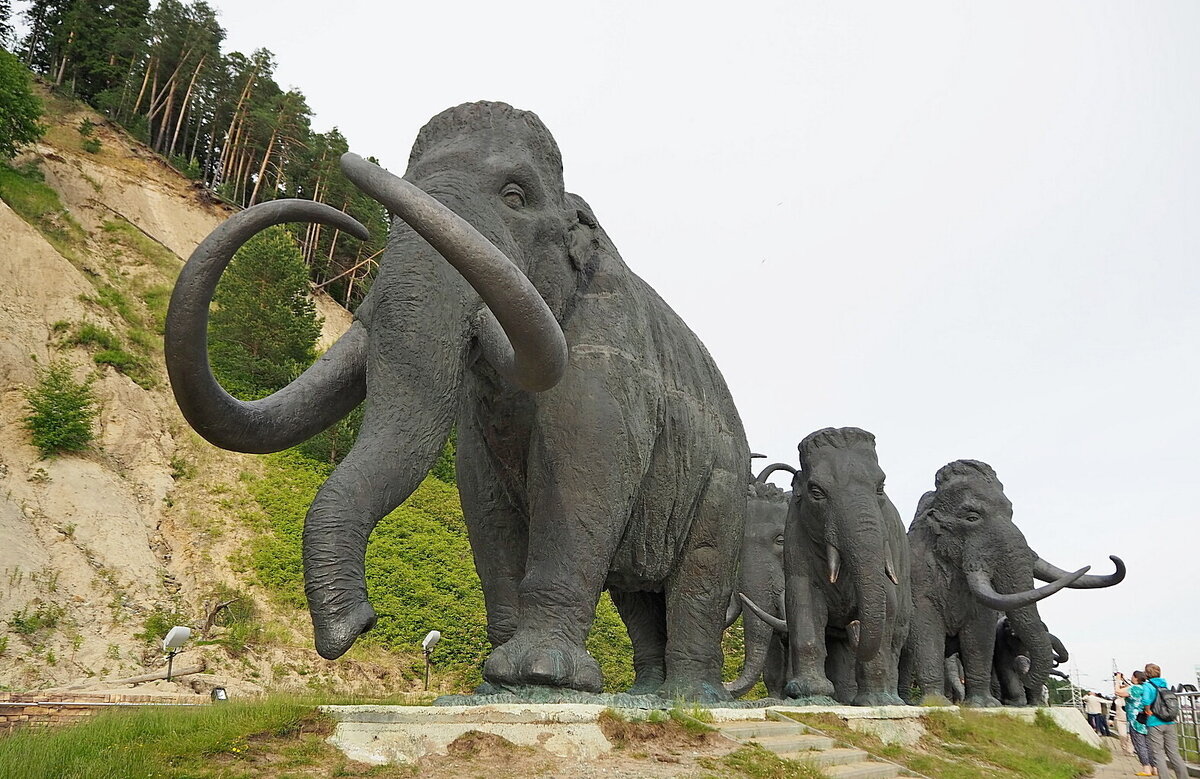    Дети мобилизованных югорчан смогут отдохнуть в соседних регионах