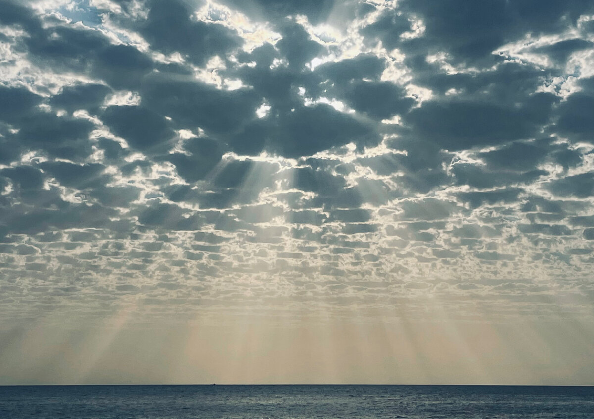 Один из прекрасных моментов