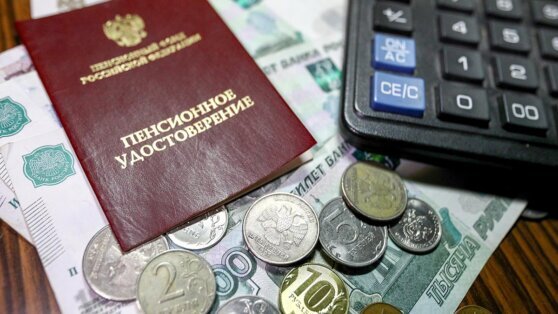    Социальные пенсии с 1 апреля проиндексируют на 3,3% Алина Городниченко