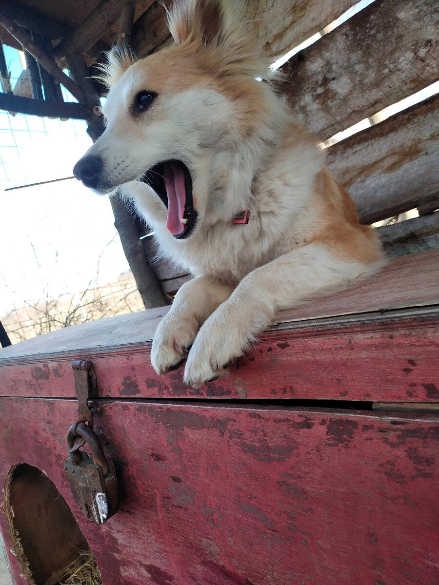 Повезло ей😌