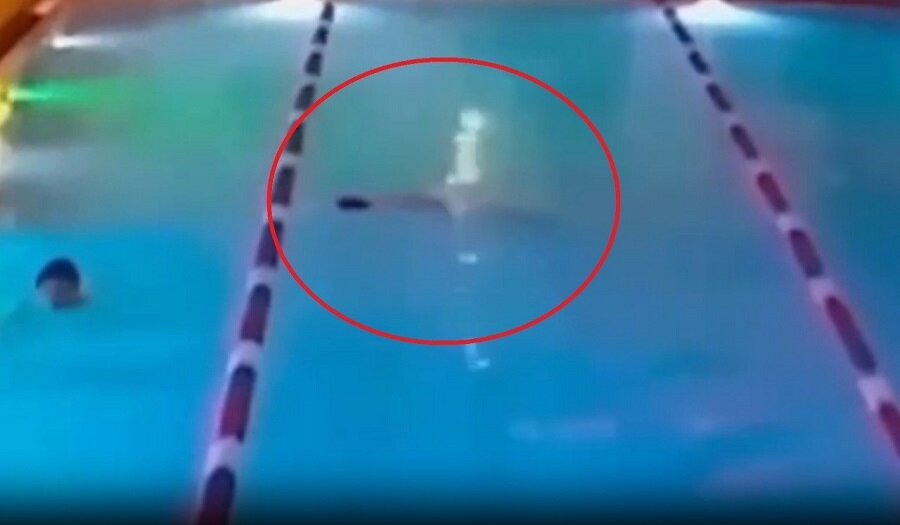    Фото: Кадр YouTube