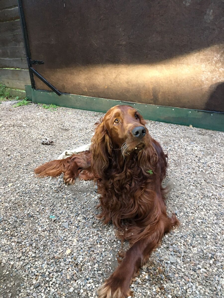 Очень Брутальный Брайт