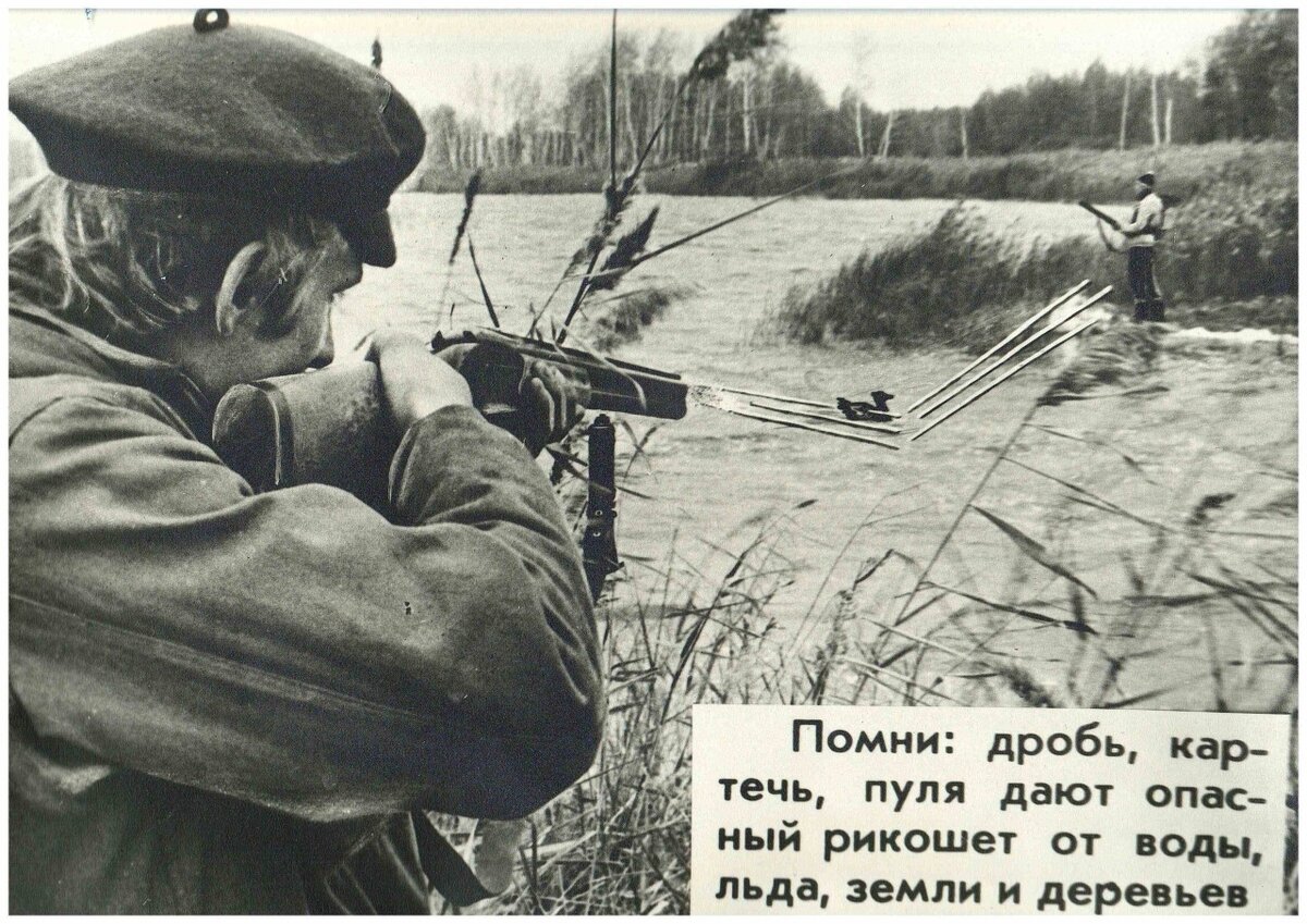 Картинка из открытого доступа