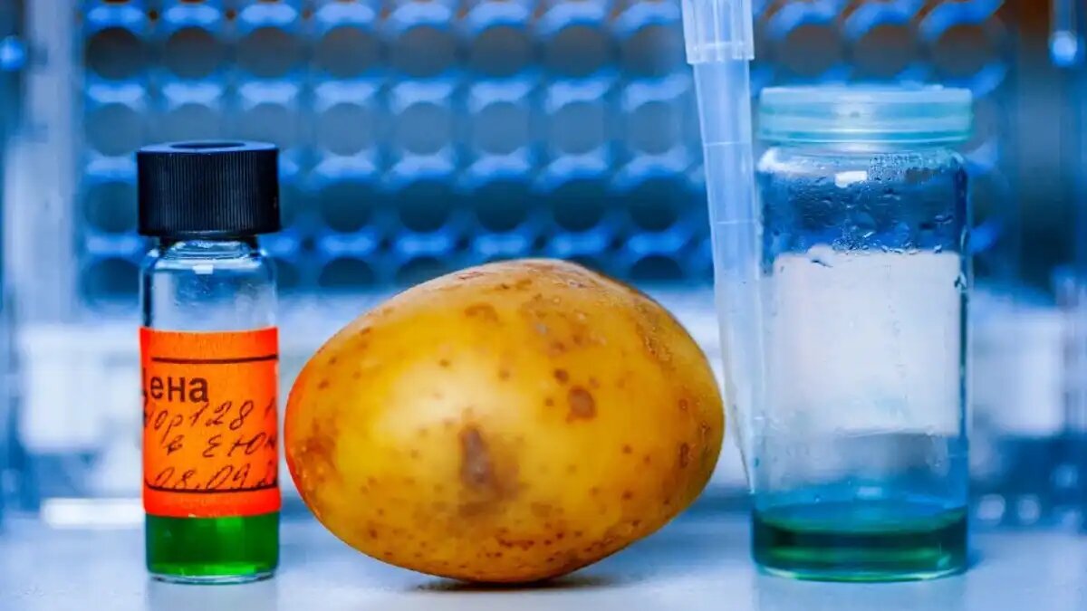 Фото:пресс-служба МГУ