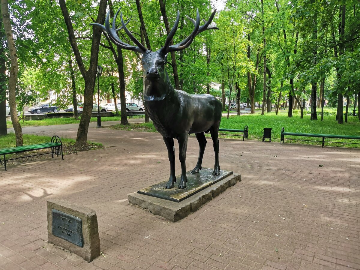 смоленск городской парк