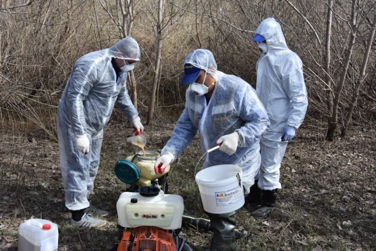    На обработку Оренбурга и загородных лагерей от комаров направят более 300 тысяч рублей Кристина Просвиркина