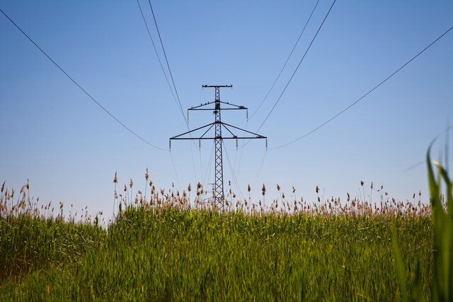    В 2023 году энергетики получили более 50 заявок на подключение от сельхозпредприятий. Фото: «Россети Северный Кавказ»