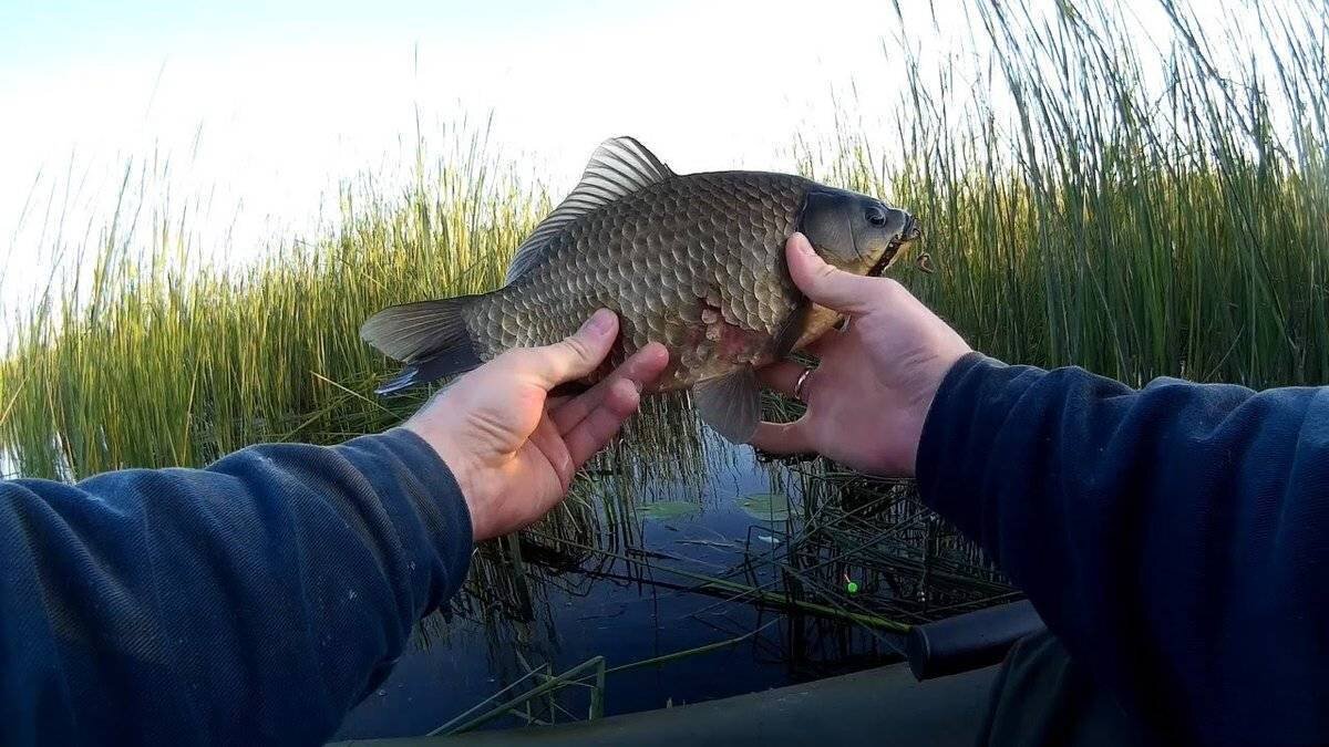 Фото с сайта: https://gruzarf.ru