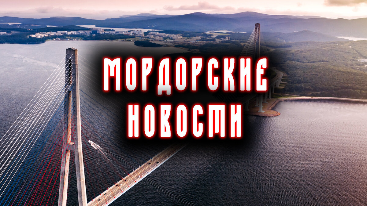С мордора любовью блоггер дзен